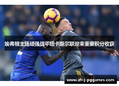 埃弗顿主场顽强战平纽卡斯尔联迎来重要积分收获